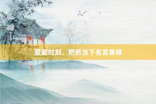 爱戴时刻，把抓当下名言集锦