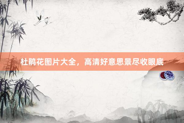 杜鹃花图片大全，高清好意思景尽收眼底
