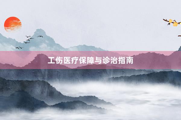 工伤医疗保障与诊治指南