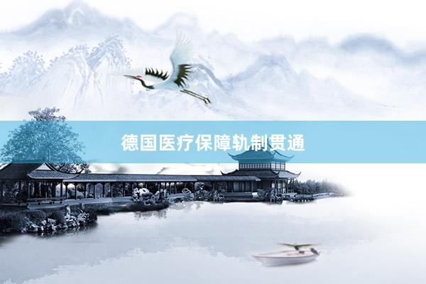 德国医疗保障轨制贯通